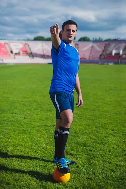 必威体育APP 产品预览